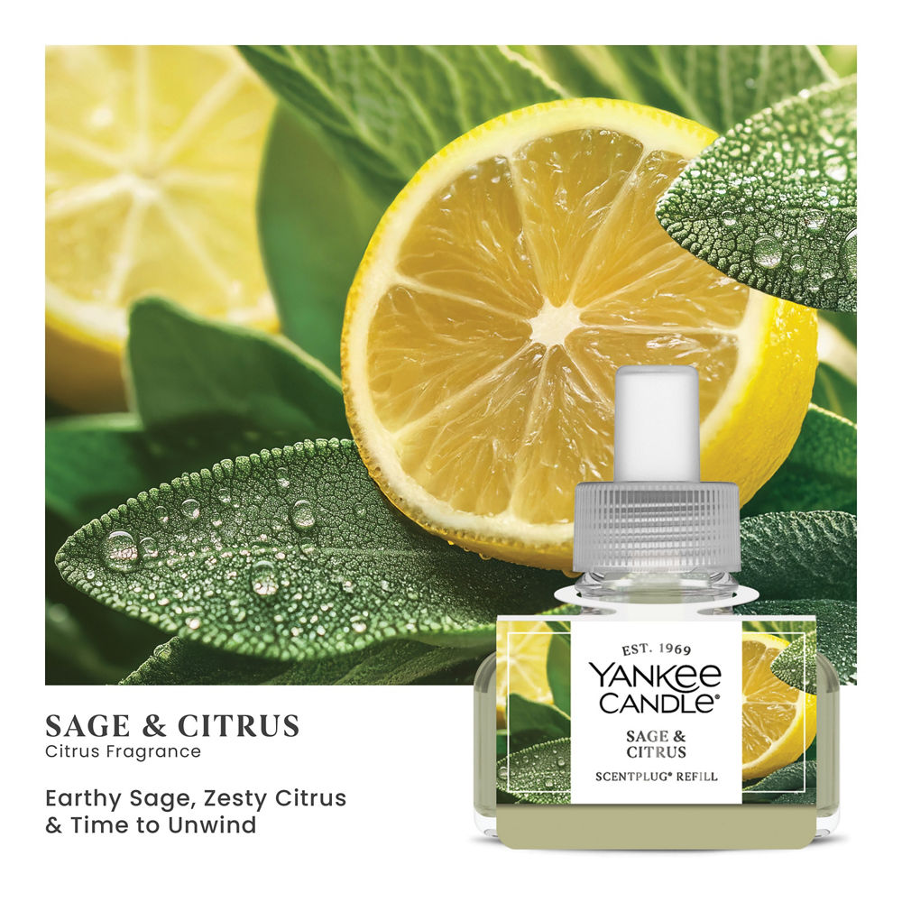 Sage & Citrus ScentPlug® Refill - Image 2