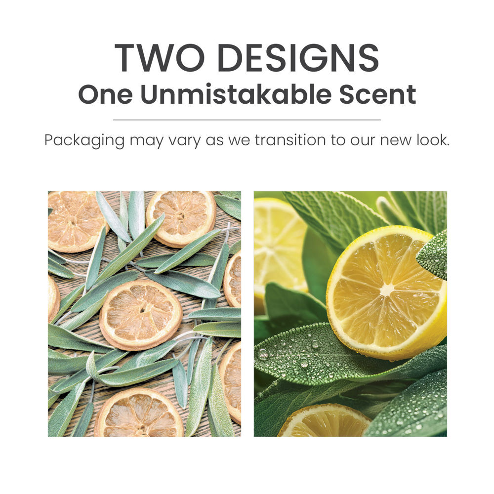 Sage & Citrus ScentPlug® Refill - Image 6