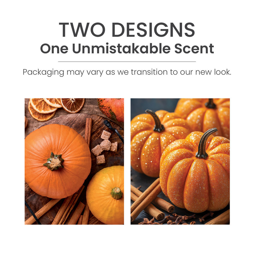 Spiced Pumpkin ScentPlug® Refill - Image 6