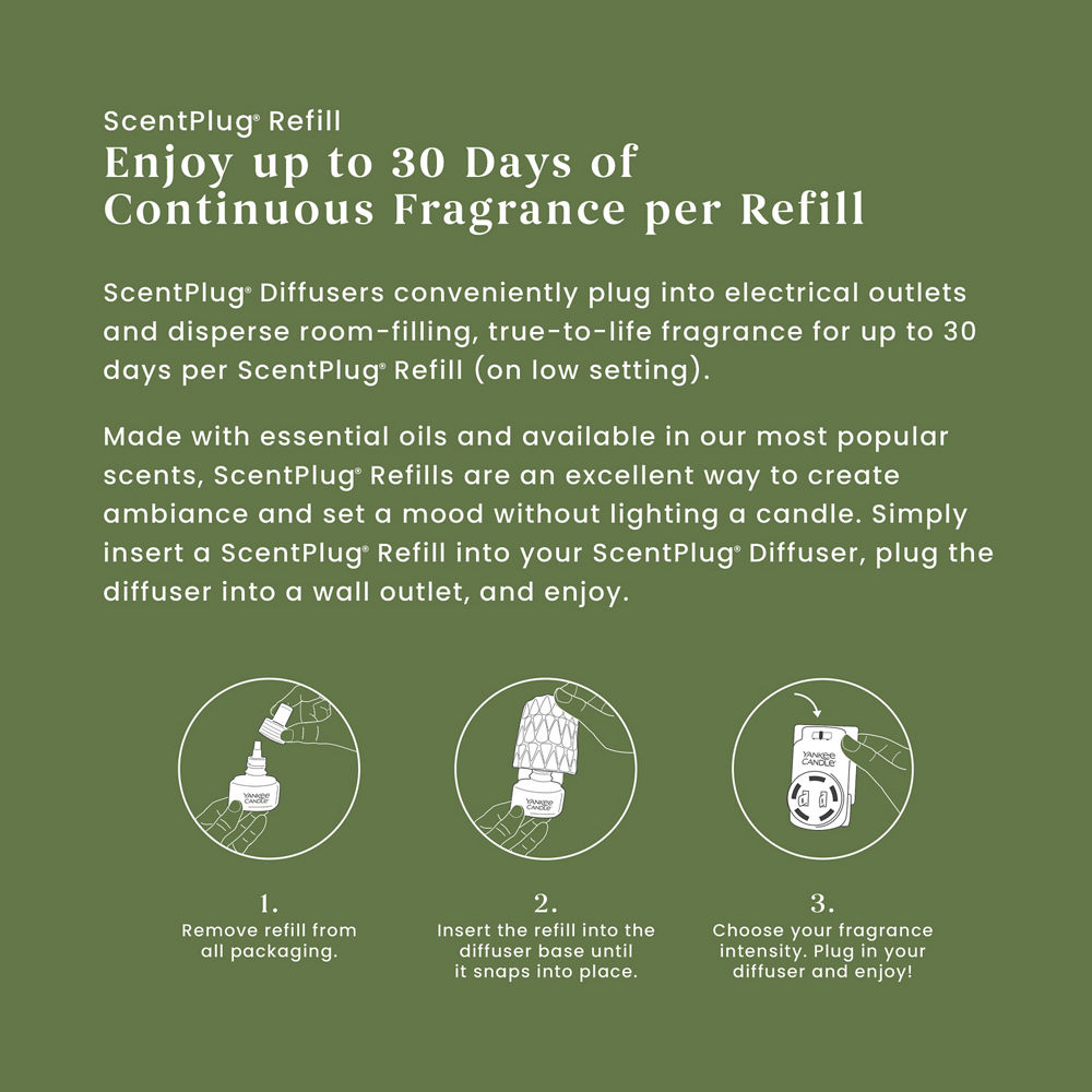 Balsam & Cedar ScentPlug® Refill - Image 3