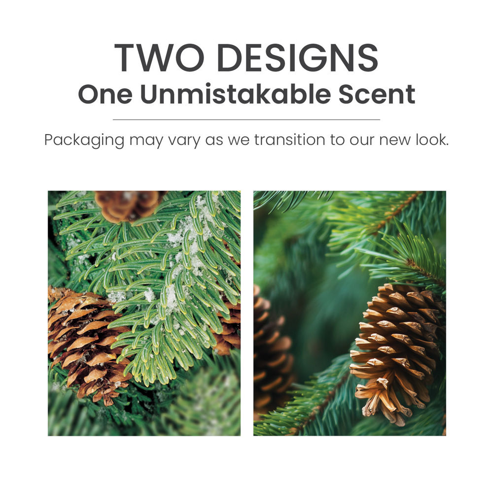 Balsam & Cedar ScentPlug® Refill - Image 6