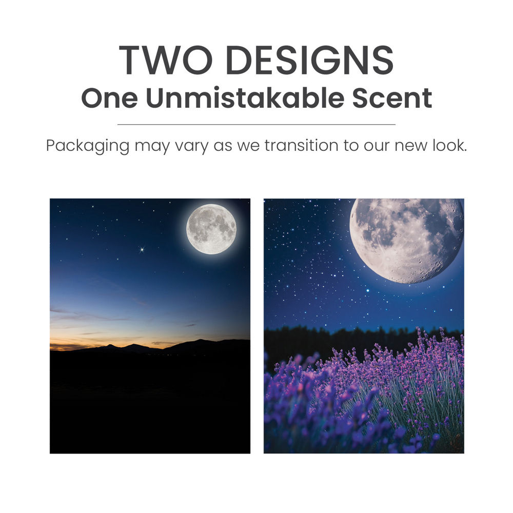 MidSummer's Night® ScentPlug® Refill - Image 6