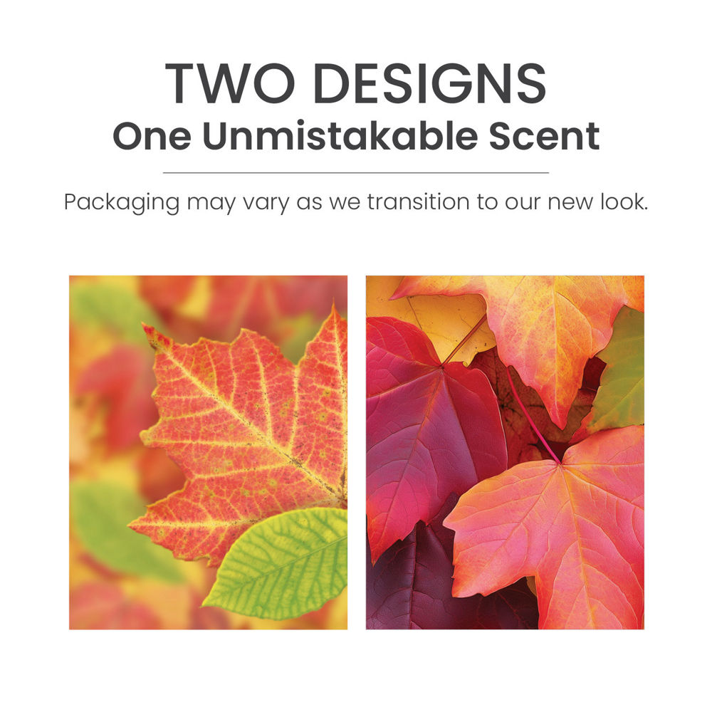 Autumn Leaves® Scenterpiece® Easy MeltCup - Image 5