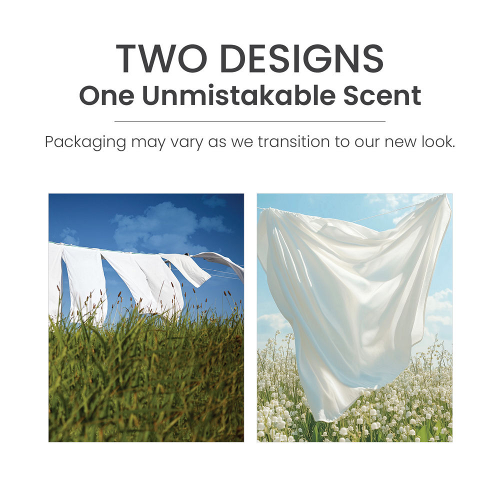 Clean Cotton® Scenterpiece® Easy MeltCup - Image 5