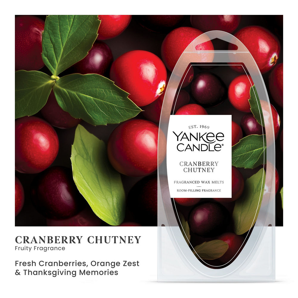 Cranberry Chutney Wax Melts - Image 2