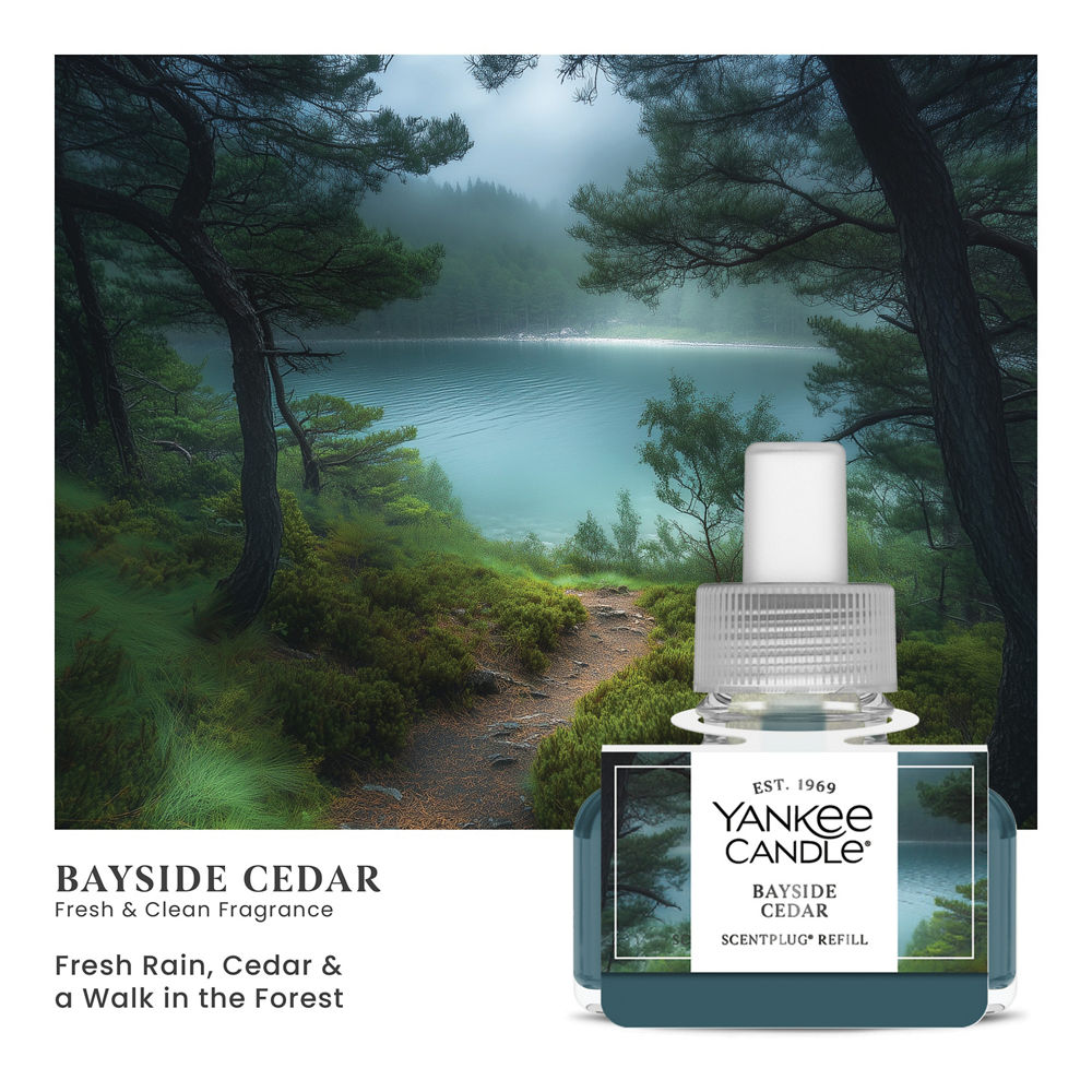 Bayside Cedar ScentPlug® Refill - Image 2