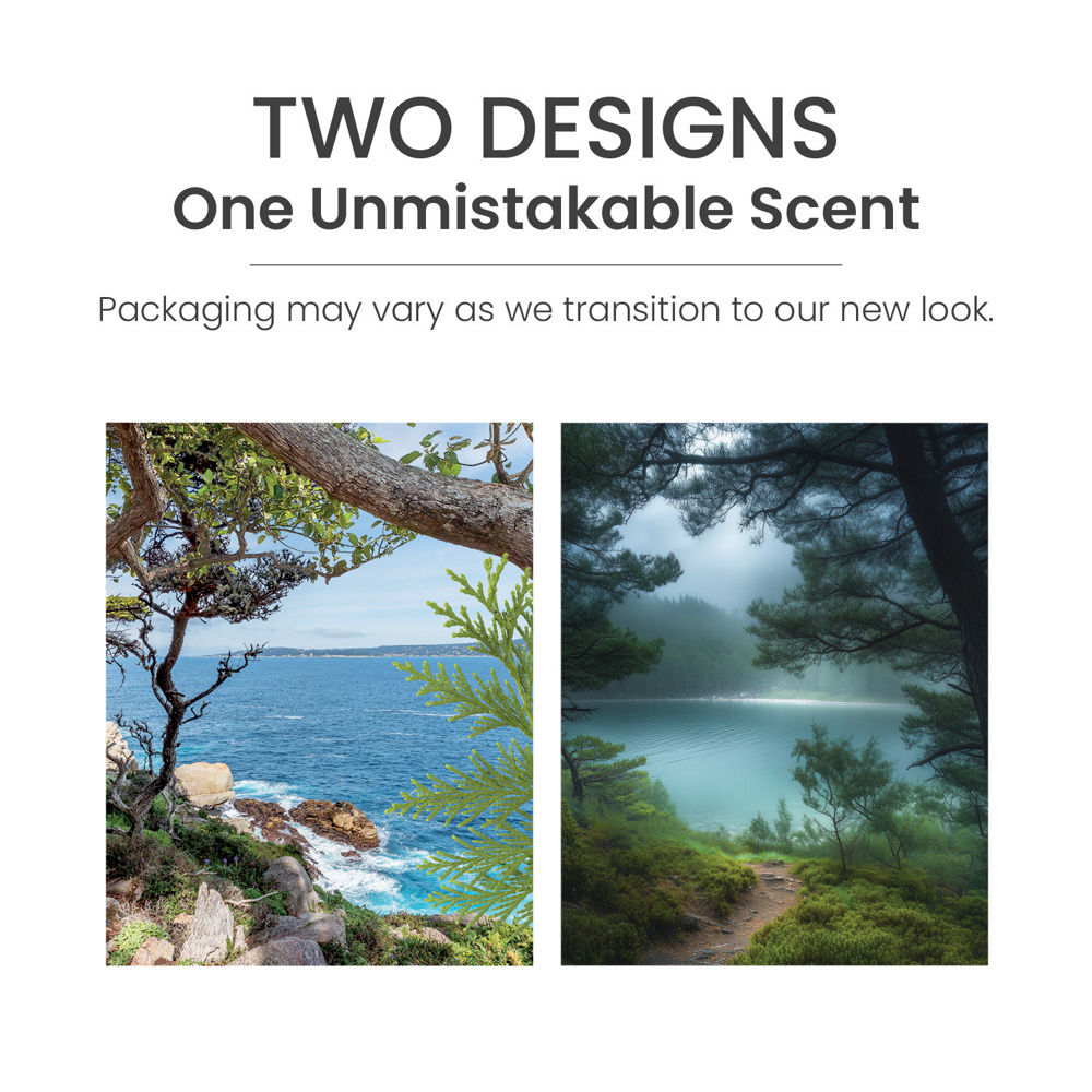 Bayside Cedar ScentPlug® Refill - Image 6