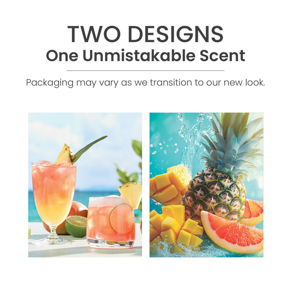 Bahama Breeze™ Sidekick® Fragrance Refill 2-Pack - Image 3