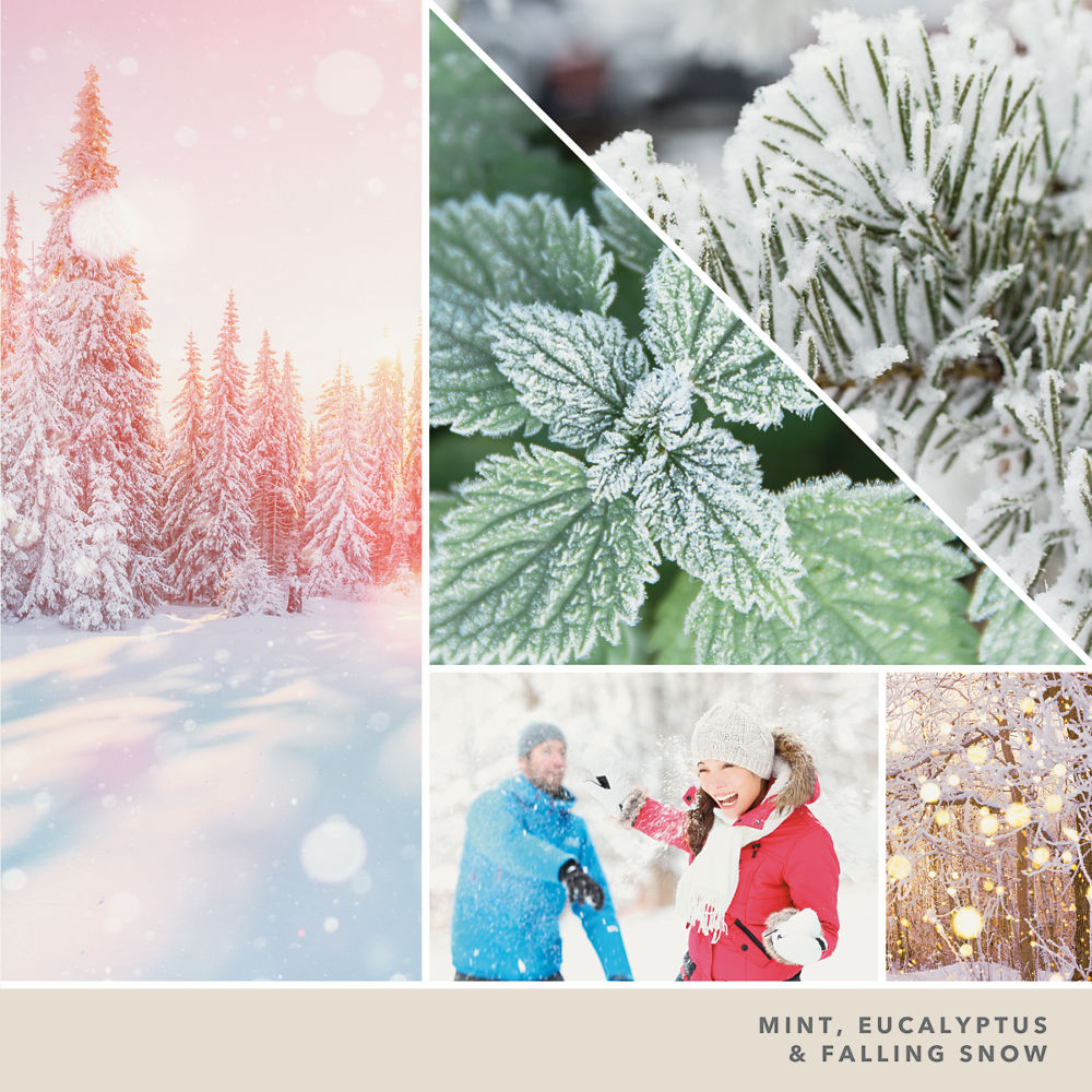 Snow Globe Wonderland - Image 2