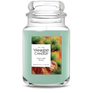 Canyon Pine Original Large Jar Candle