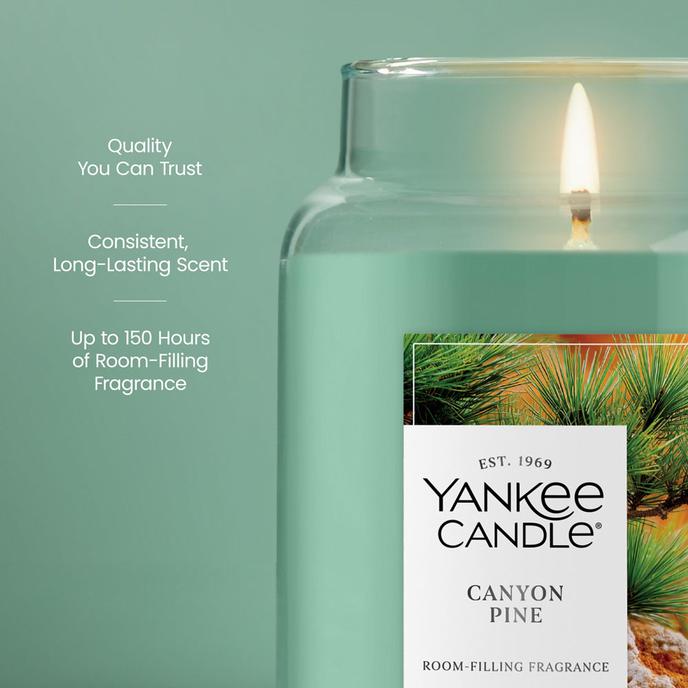 Canyon Pine Original Large Jar Candle - Image 3