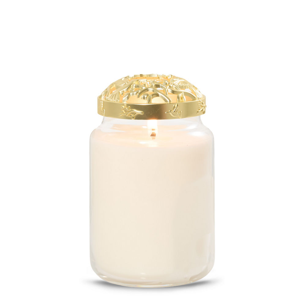 Hummingbird Illuma-Lid® Jar Candle Topper - Image 2