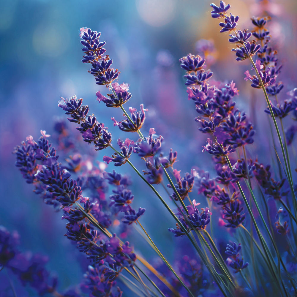 Lavender Dusk Large Tumbler Candle - Image 3