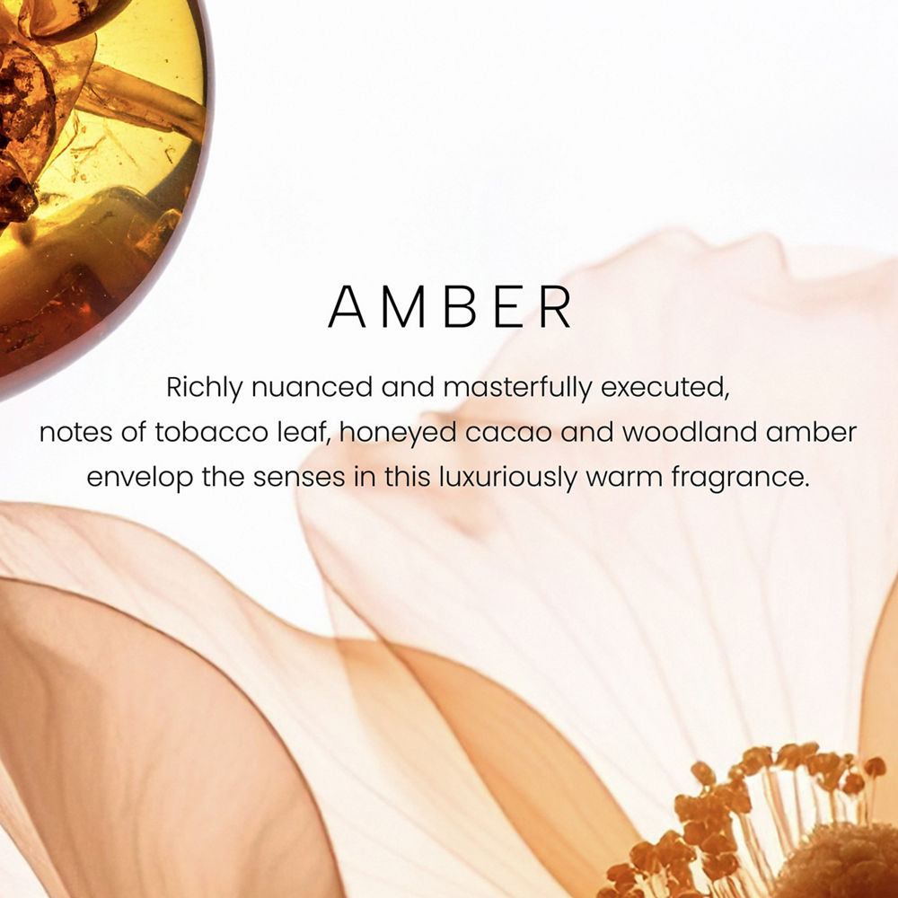 Amber Premium Single-Wick 7oz Candle - Image 2