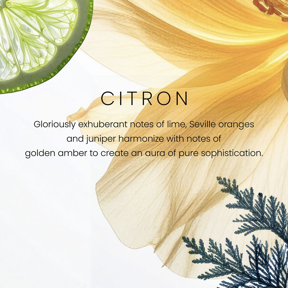 Citron Premium Single-Wick 7oz Candle - Image 2