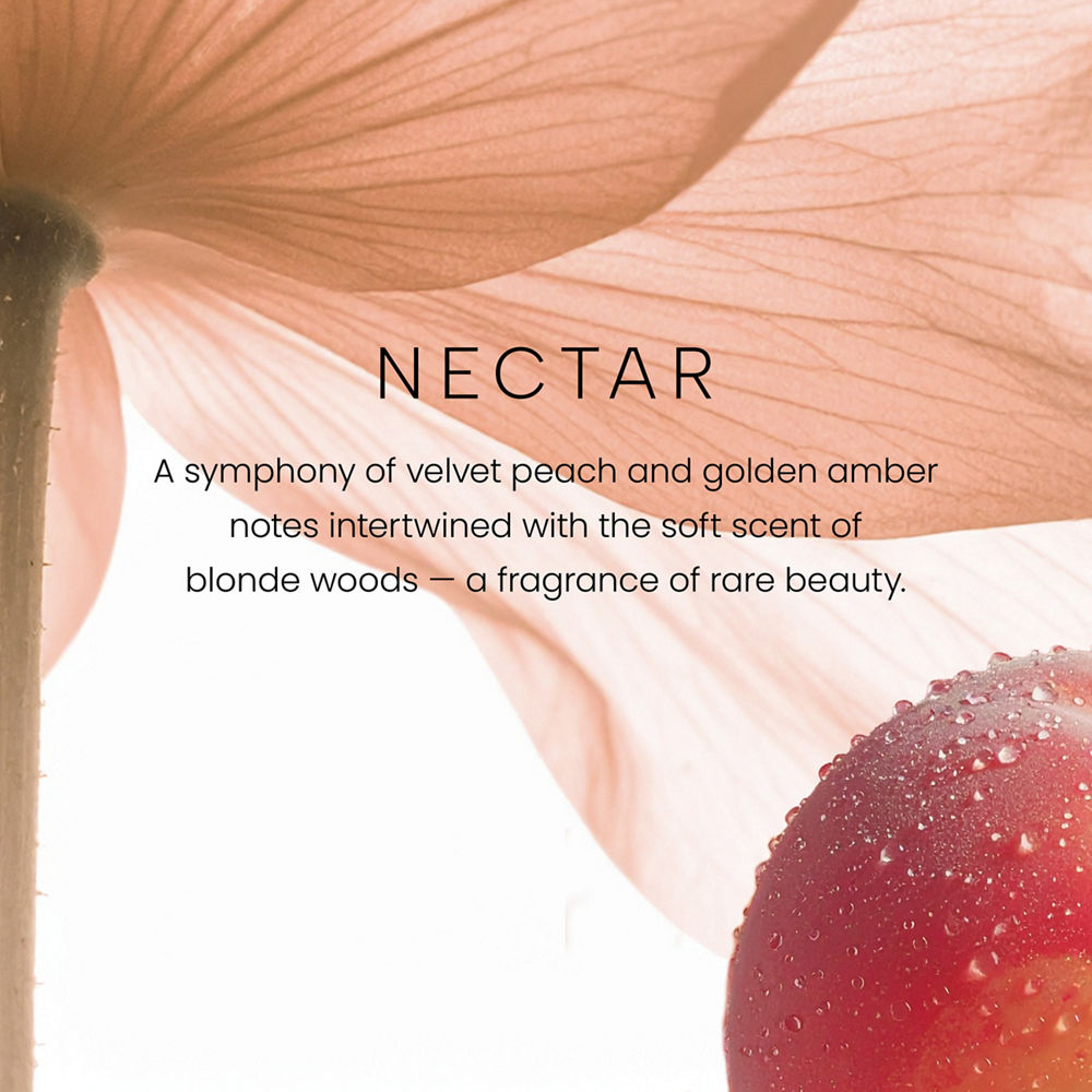 Nectar Premium Two-Wick 12oz Candle - Image 2