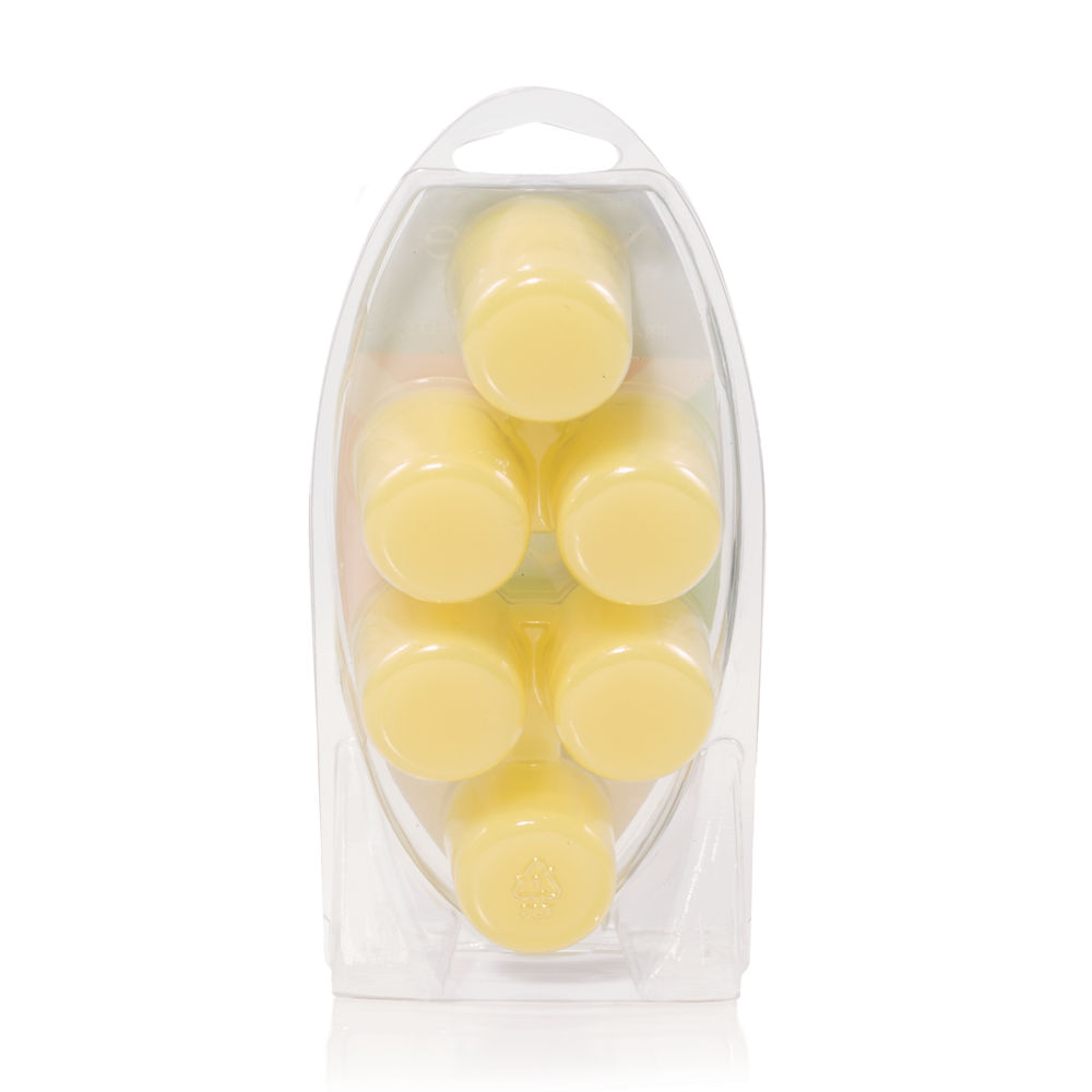 Sun Club Wax Melts - Image 2