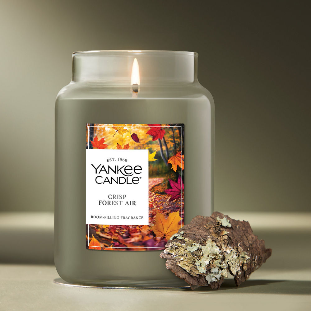 Crisp Forest Air Original Large Jar Candle - Image 2
