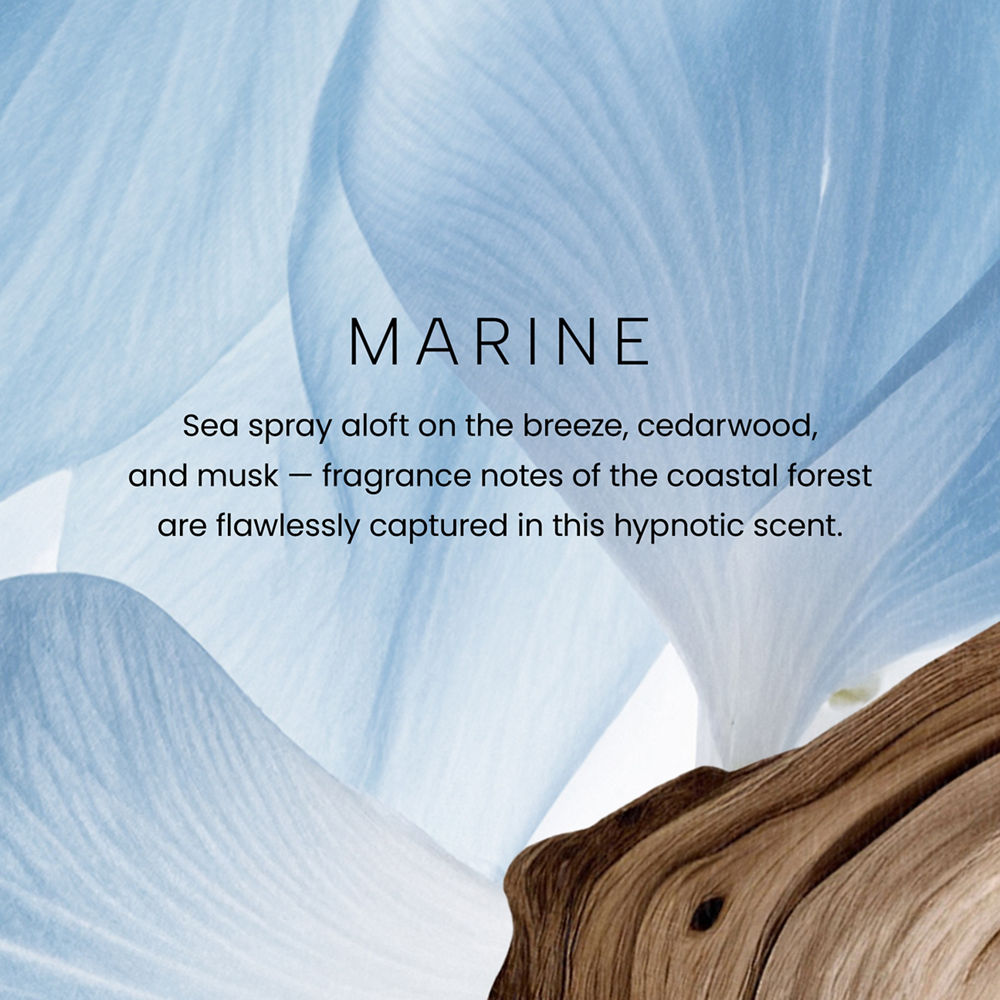 Marine Premium Reed Diffuser - Image 2