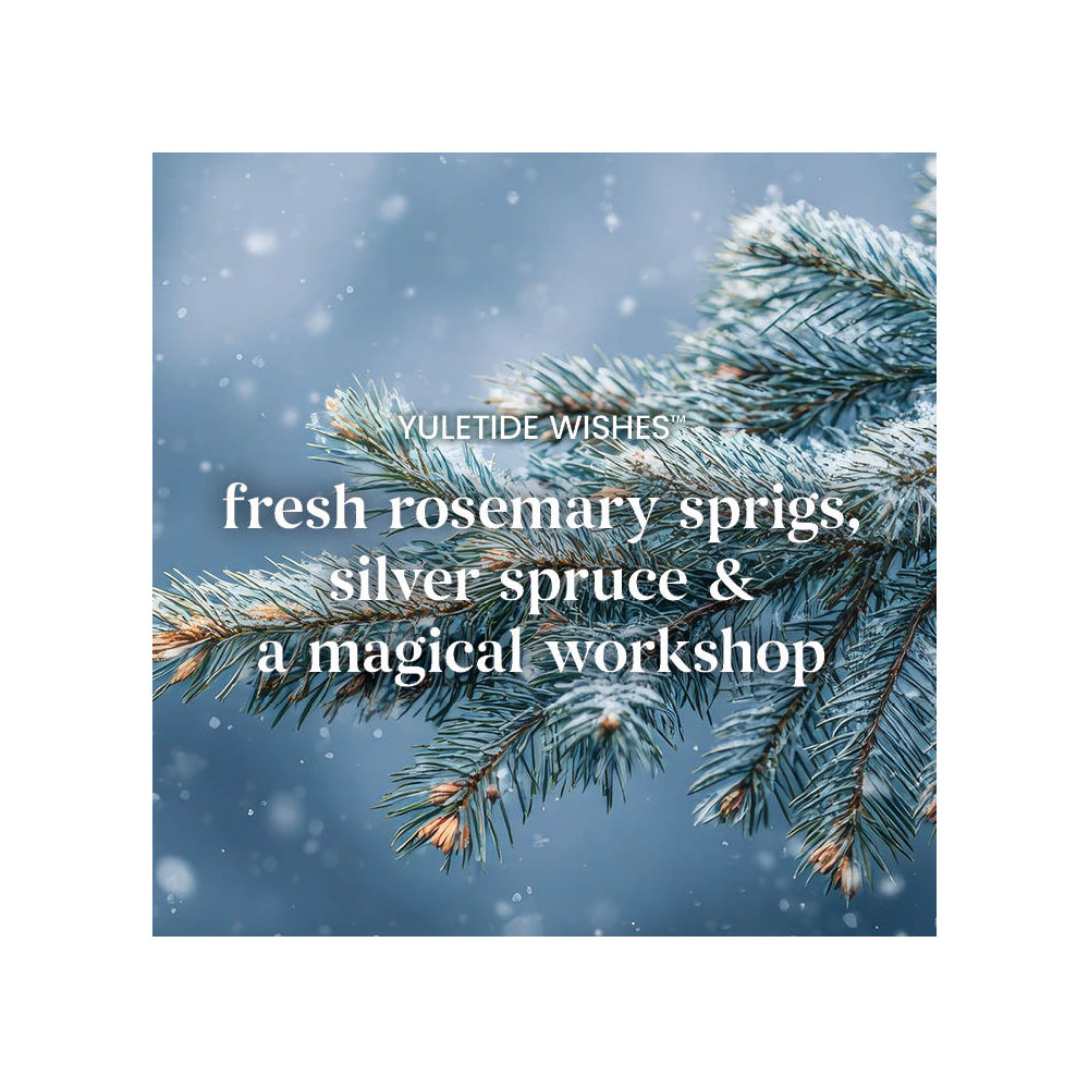 Yuletide Wishes Original Large Jar Candle - Image 3
